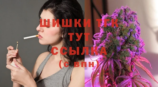 дурь Сатка