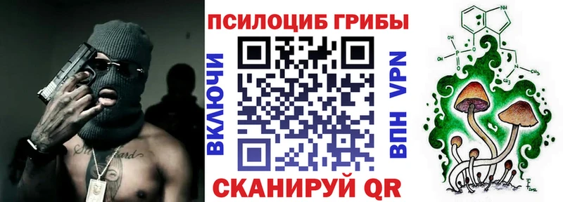 Галлюциногенные грибы Psilocybine cubensis  Усть-Лабинск 