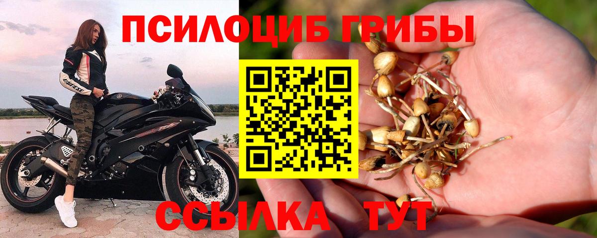 Галлюциногенные грибы GOLDEN TEACHER Усть-Лабинск